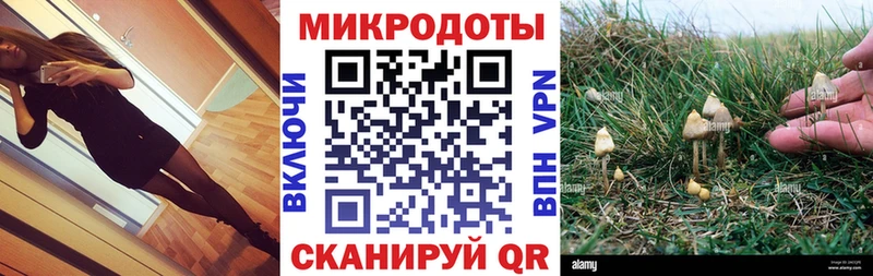 хочу наркоту  Змеиногорск  Псилоцибиновые грибы MAGIC MUSHROOMS 